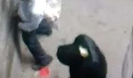 सेक्सी श्यामला ट्रेनर सेक्सी इंग्लिश मूवी वीडियो एक चिंतित छात्र द्वारा गड़बड़ हो जाता है