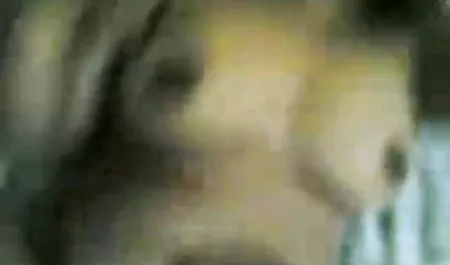 गोरा हीथ एक मोटी डिक इंग्लिश मूवी सेक्सी पिक्चर बेकार है