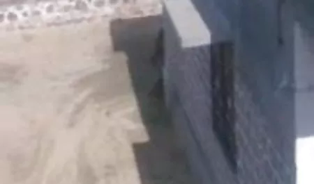 एक सेक्स मशीन और वाइब्रेटर का उपयोग करके इंग्लिश में फुल सेक्सी फिल्म दो गर्म गोरे