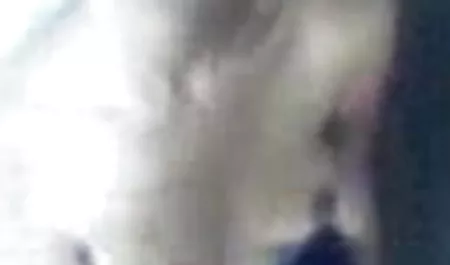 भावुक सेक्सी समलैंगिकों कार्ली मोंटाना और जेस रोड्स इंग्लिश मूवी सेक्सी मूवी बिल्ली चाटना