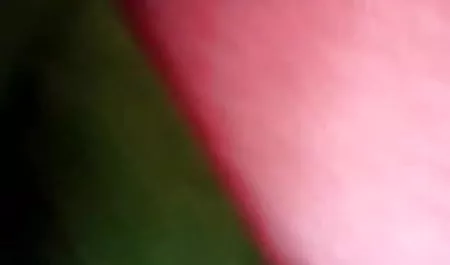 संचिका कुतिया एक इंग्लिश सेक्सी मूवी फिल्म मोटी थरथानेवाला के साथ खुद को fucks