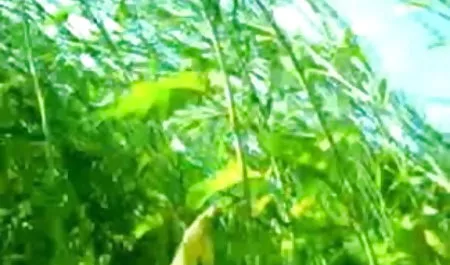 स्वीट एलिजाबेथ एक डिक सेक्स मूवी इंग्लिश फिल्म ऑपरेटर बेकार है