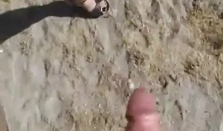 सफेद कुतिया इंग्लिश सेक्स मूवी फुल एक काले डिक की सवारी करती है